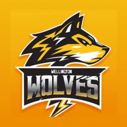Team logo