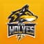 Wellington Wolves Flag