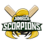 Jamaica Scorpions Flag